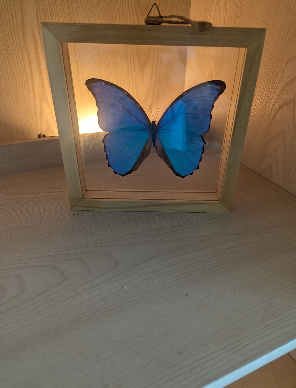 Blue Butterfly Framed Accent - Home Decor